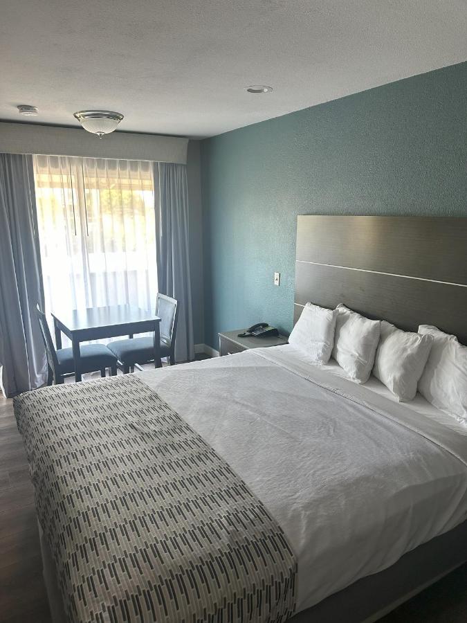 Large Single Room at Hotel Palmeras Chula Vista