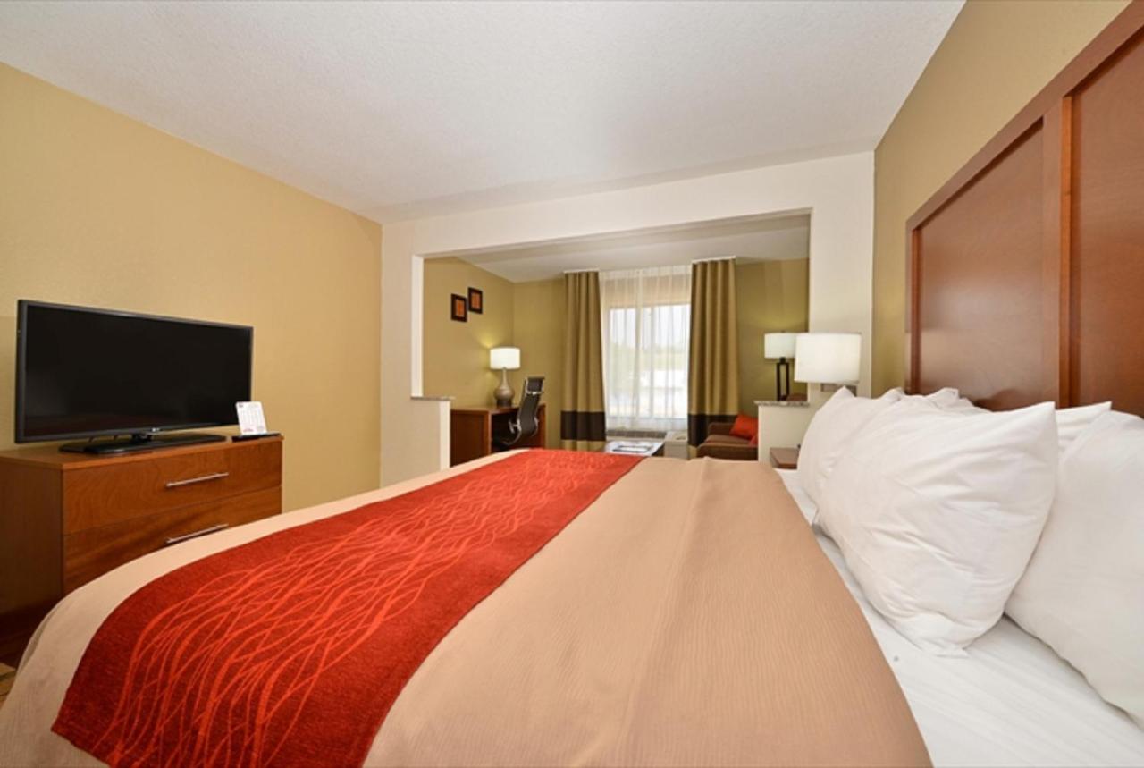 King Suite with Sofa Bed - Non-Smoking at Comfort Inn & Suites Cedar Rapids North - Collins Road