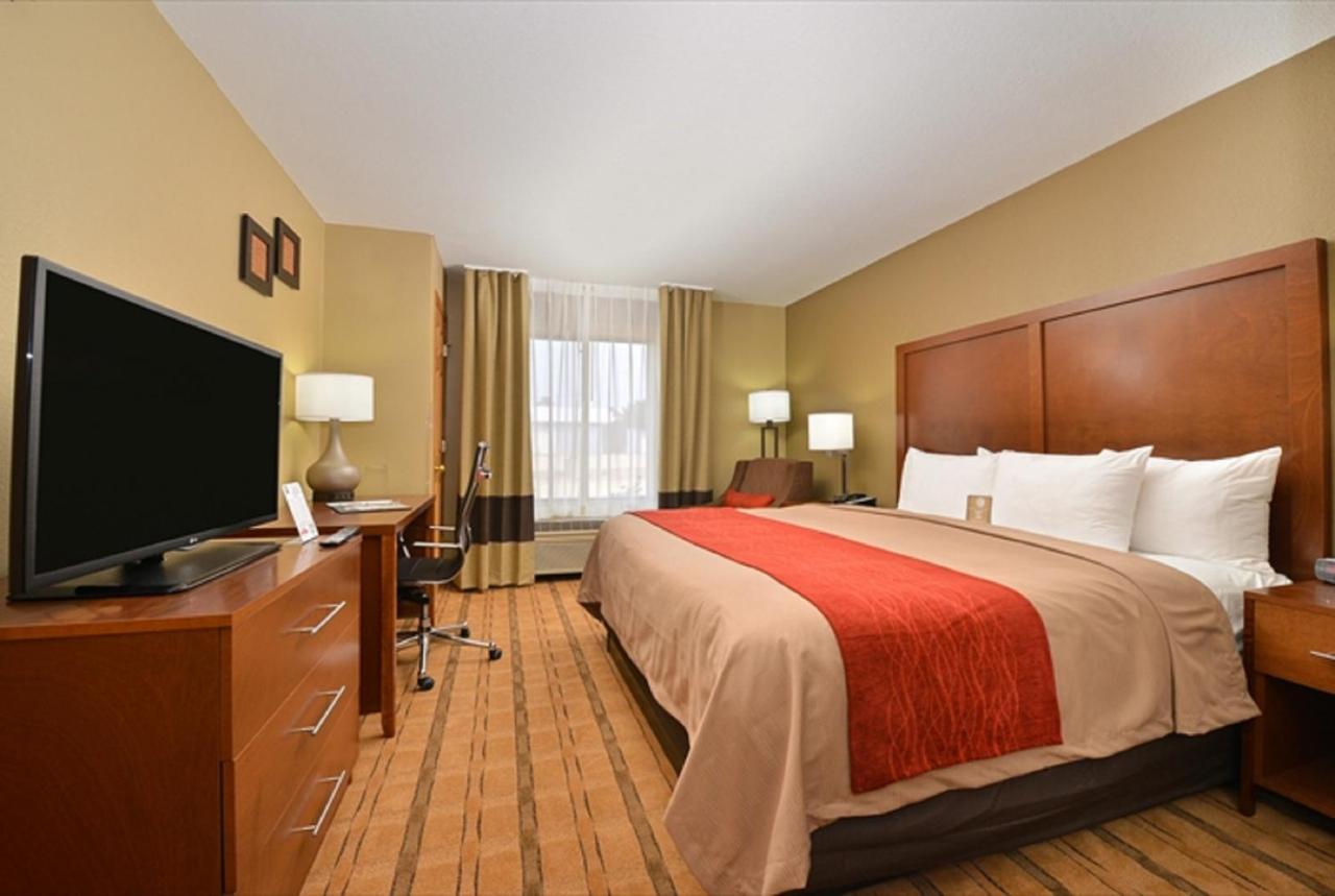 King Room - Non-Smoking at Comfort Inn & Suites Cedar Rapids North - Collins Road