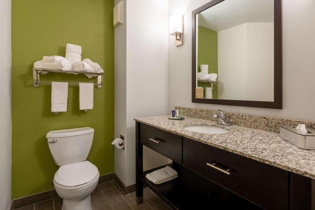 | Sleep Inn & Suites Harbour Pointe Midlothian