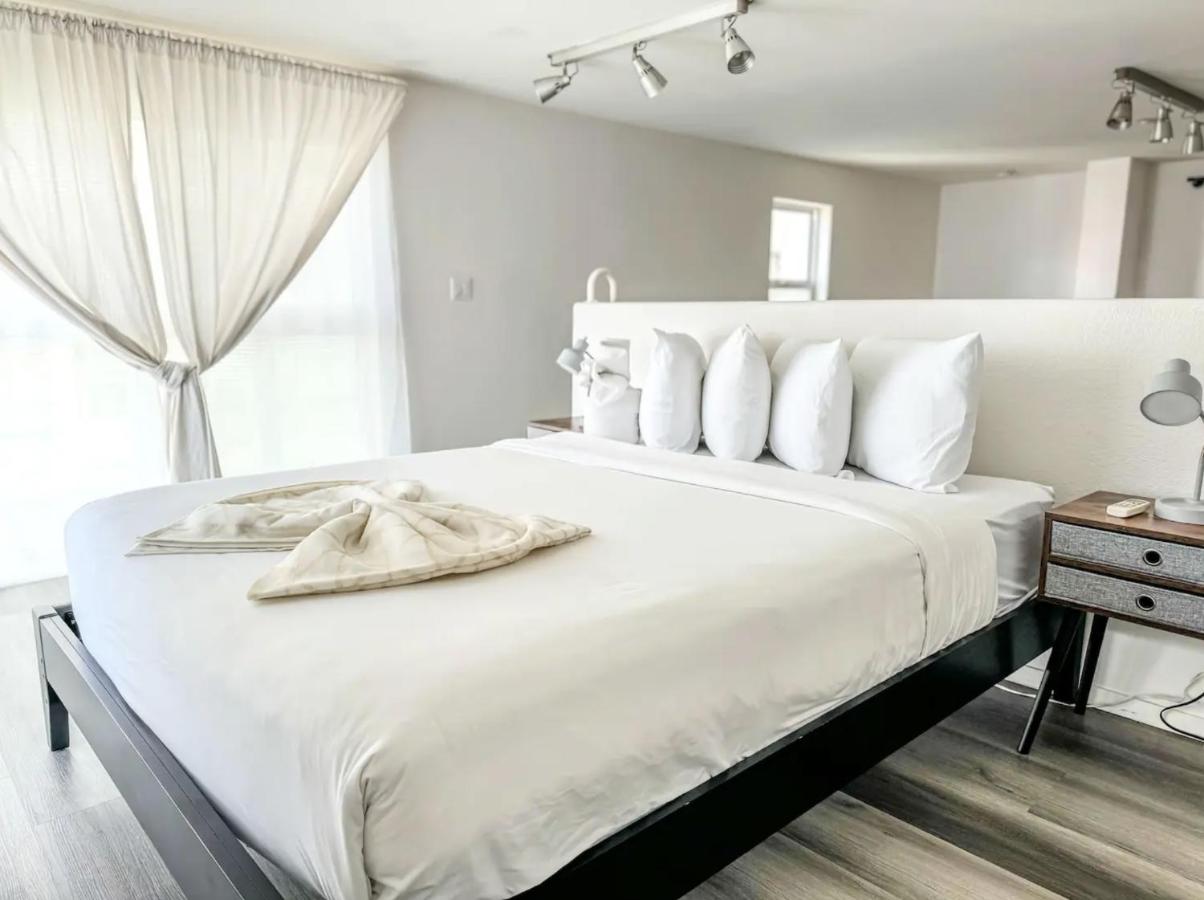 | Little Italy Modern Lofts