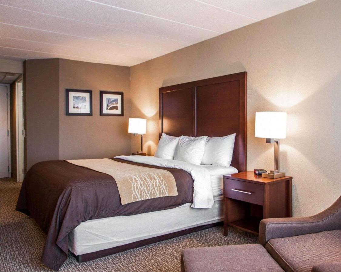King Room - Non-Smoking at Quality Inn & Suites Orland Park - Chicago