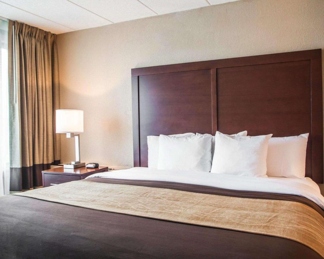 King Suite - Non-Smoking at Quality Inn & Suites Orland Park - Chicago