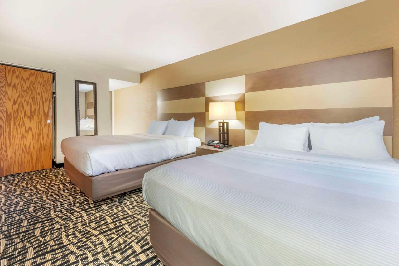 | Quality Inn & Suites Mayo Clinic Area