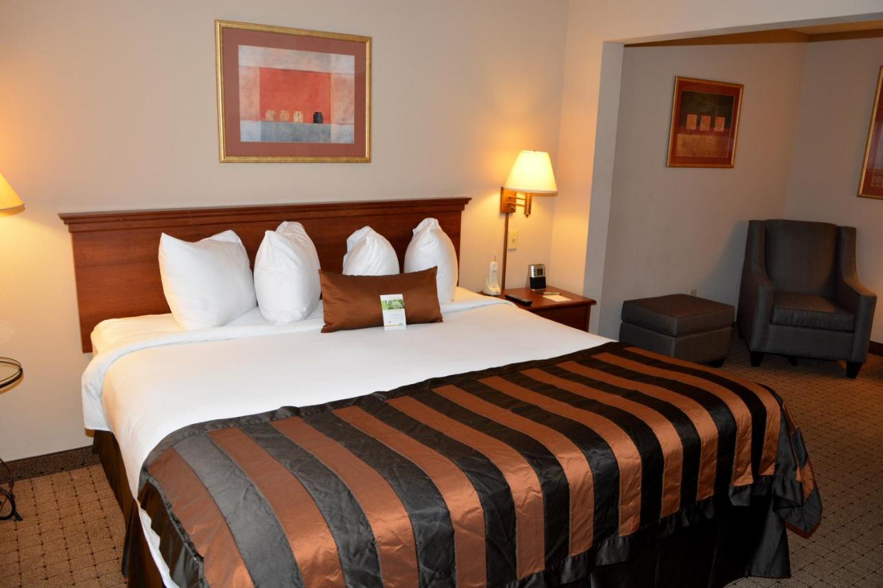 King Room - Non-Smoking at Wingate by Wyndham West Monroe