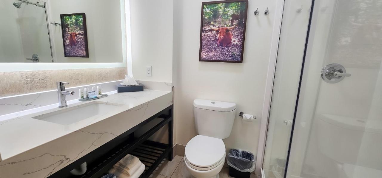 King Room at La Quinta Inn & Suites by Wyndham Dallas Mesquite