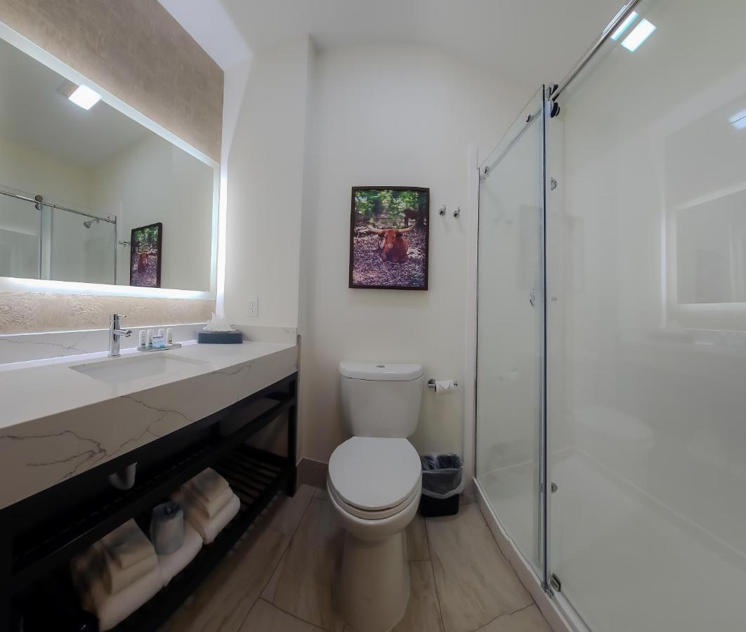 King Room at La Quinta Inn & Suites by Wyndham Dallas Mesquite