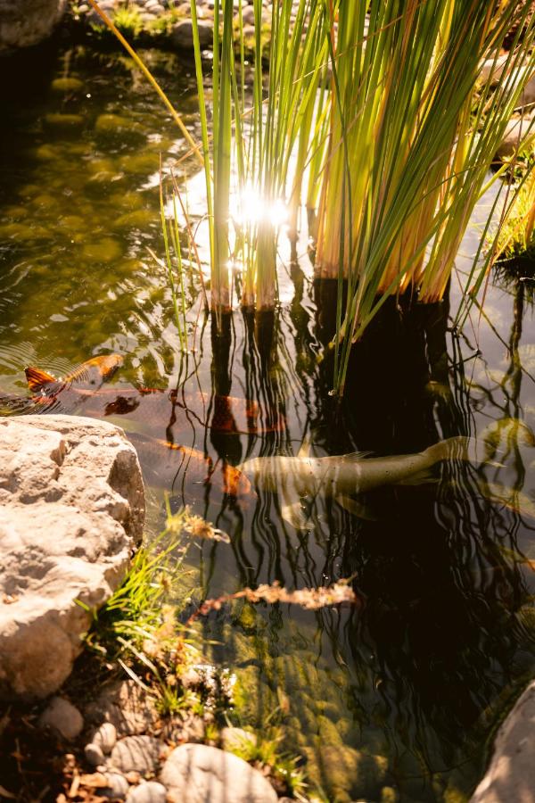  | Paso Robles Inn