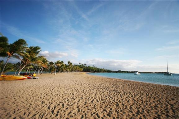 | Vista Waikoloa G204