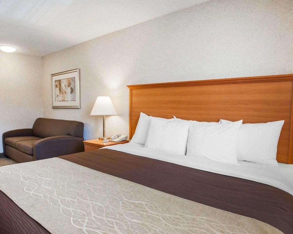 King Room at Quality Inn Kirkland