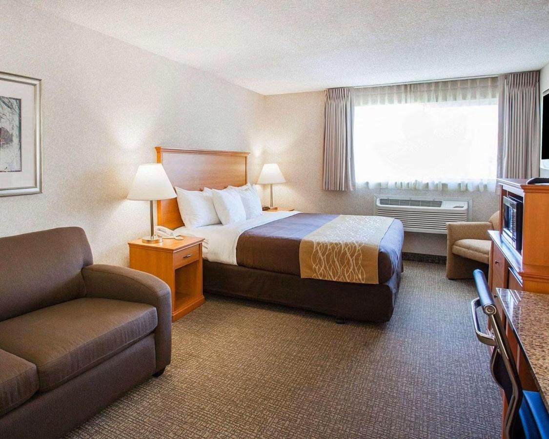 King Room at Quality Inn Kirkland
