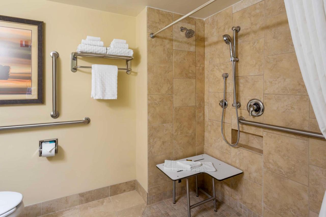 King Room with Roll-In Shower - Disability Access at Best Western Plus Cottontree Inn