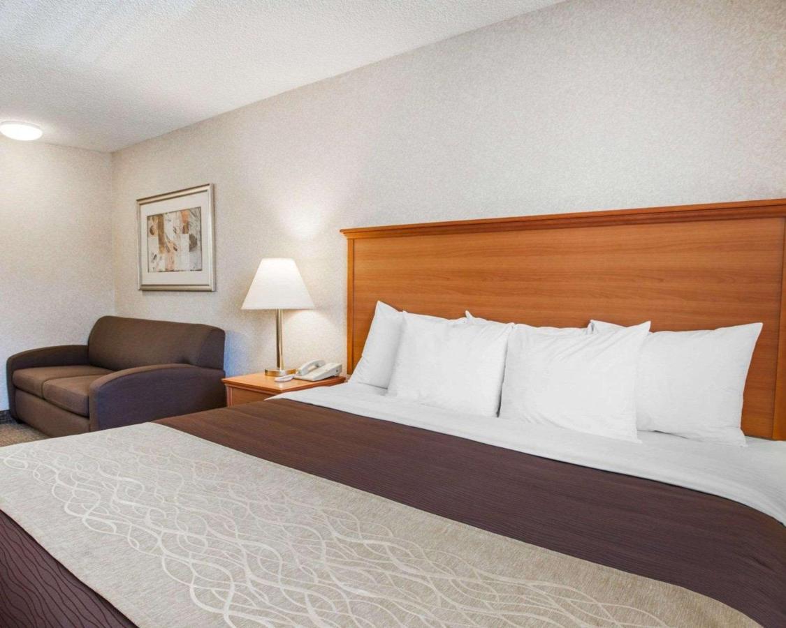 King Room at Quality Inn Kirkland