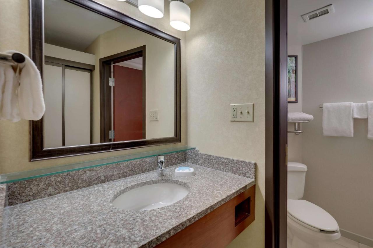 Deluxe King Room with Sofa Bed at Drury Inn & Suites Charlotte University Place