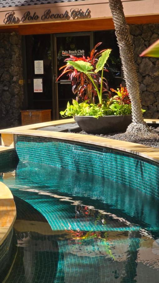 | Polo Beach Club