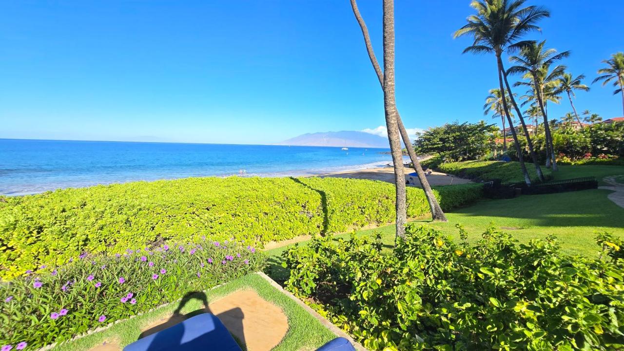 | Polo Beach Club