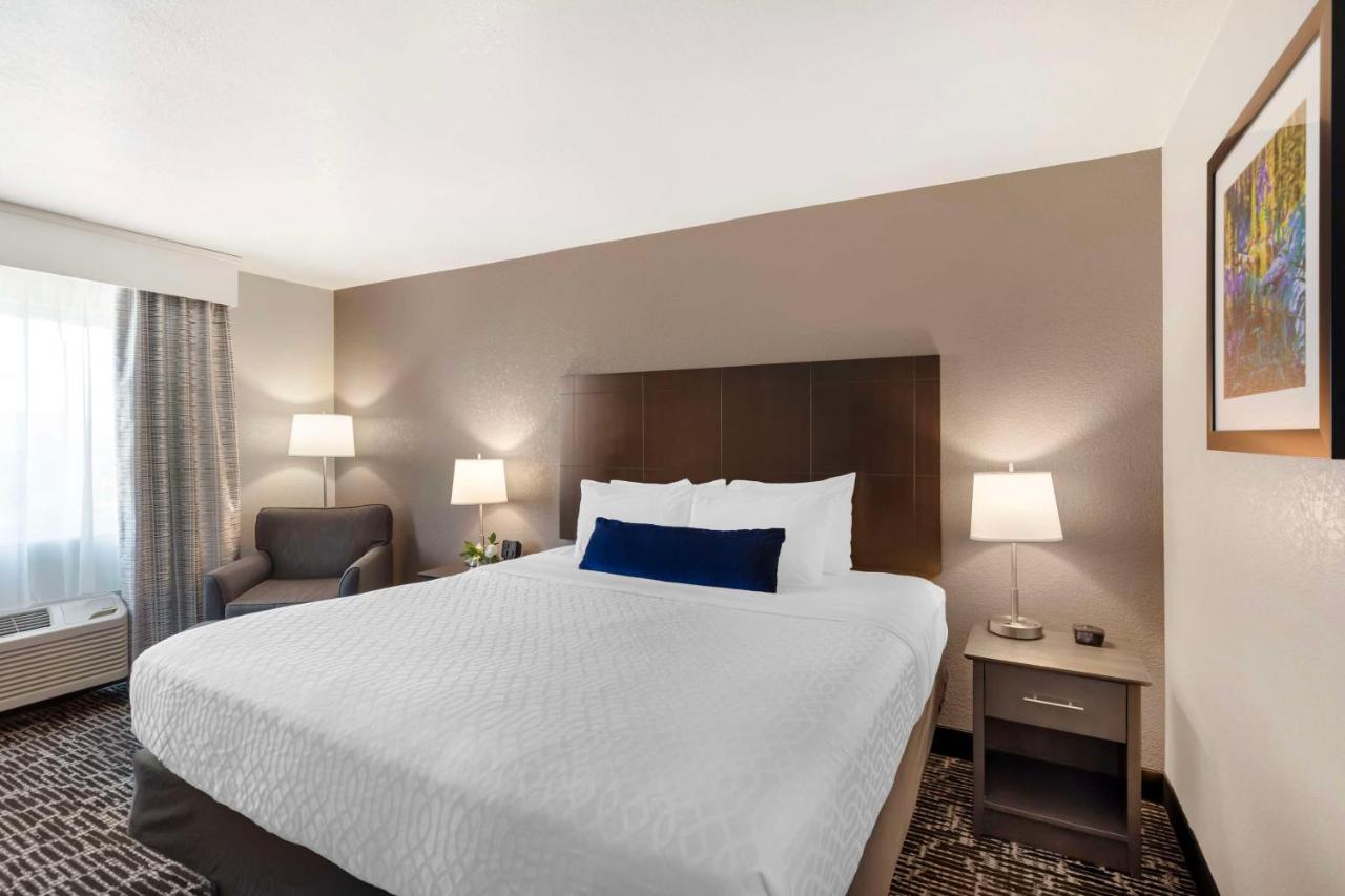 King Room at Best Western Greeley