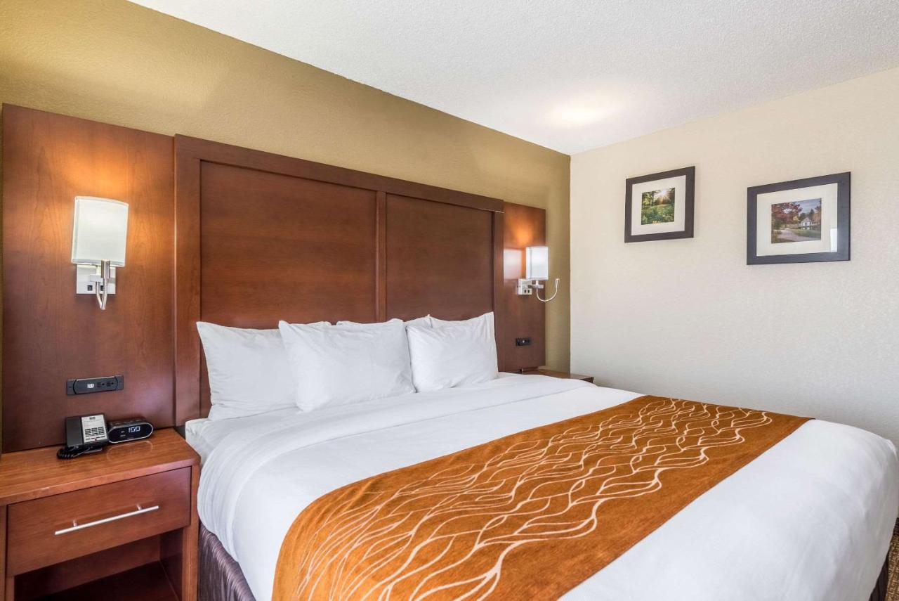 King Suite - Non-Smoking at Comfort Inn & Suites Dayton North