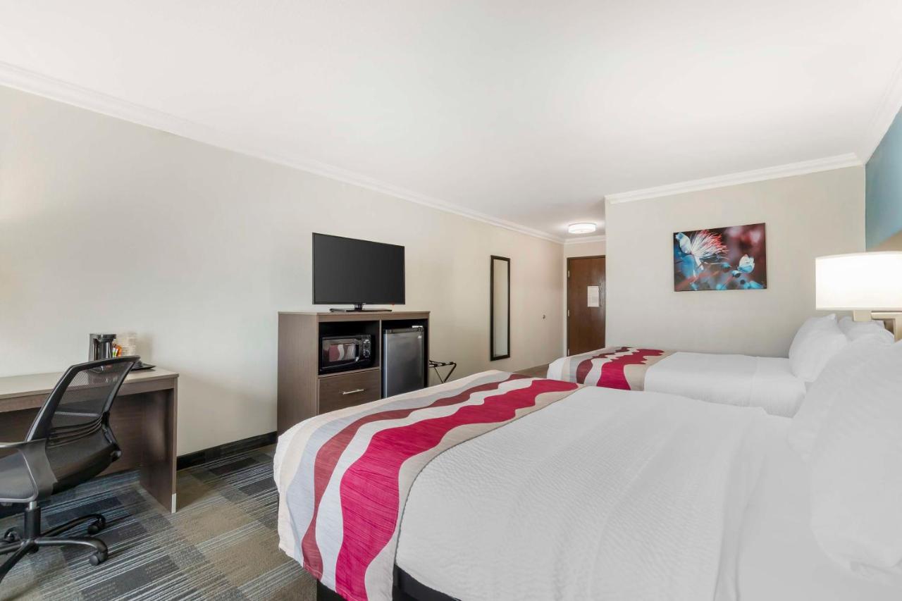 Queen Rooms with Two Queen Beds at Best Western Medical Center North Inn & Suites Near Six Flags