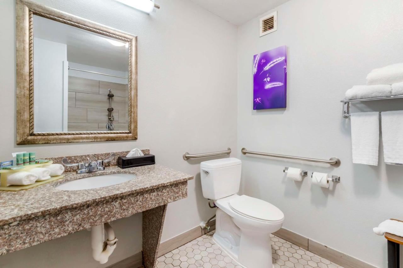 King Room with Roll-In Shower - Disability Access at Best Western Medical Center North Inn & Suites Near Six Flags