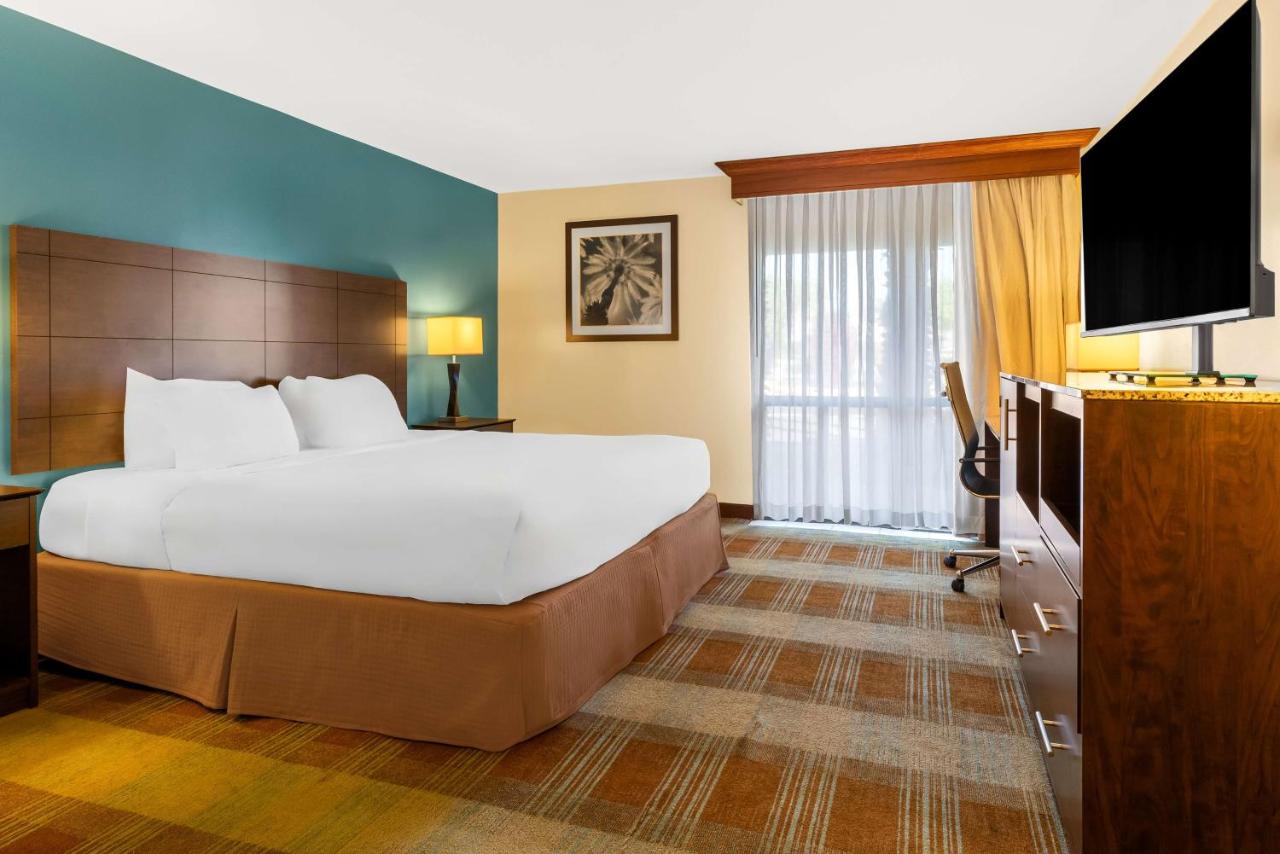 King Room - Disability Access at Best Western Date Tree Hotel