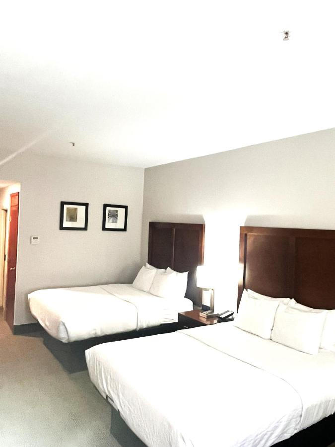 Queen Room with Two Queen Beds - Non-Smoking at Comfort Inn & Suites Jackson