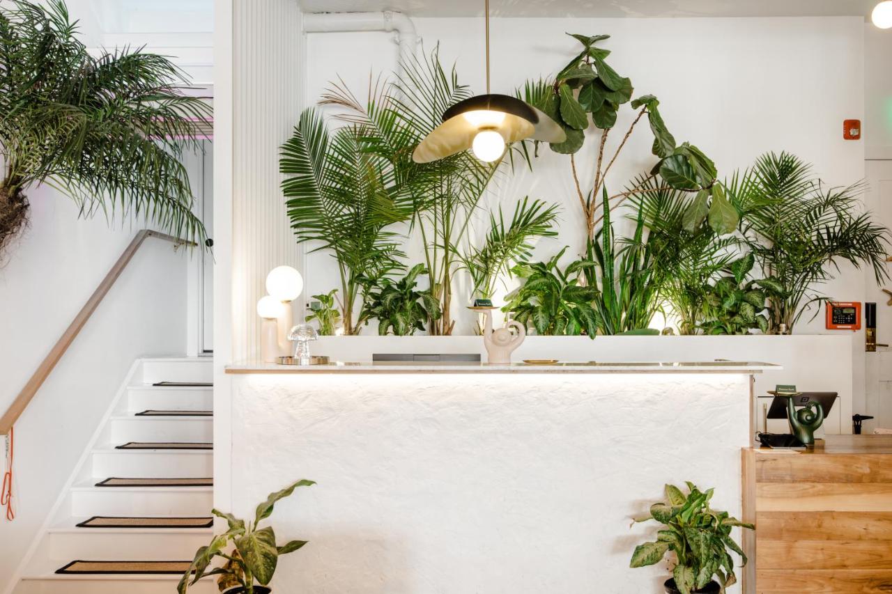 | American Beech Hotel