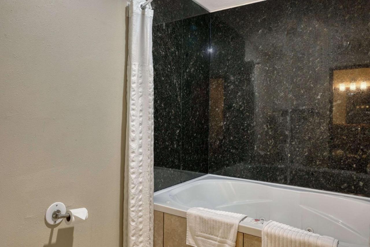 Executive King Suite - Non-Smoking at Comfort Suites Appleton Airport