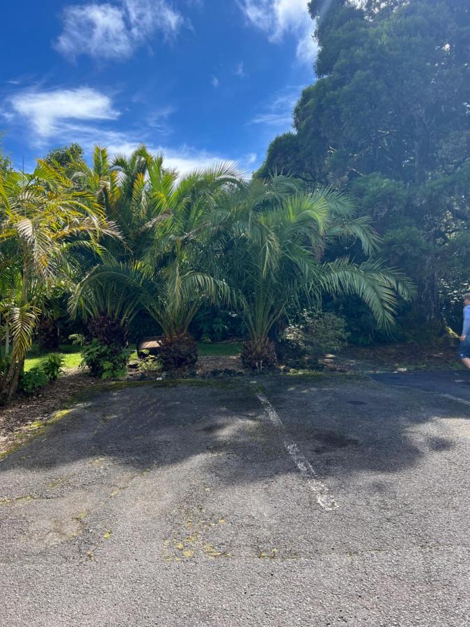 | Aloha Junction Suites - 5 min from Hawaii Volcanoes National Park