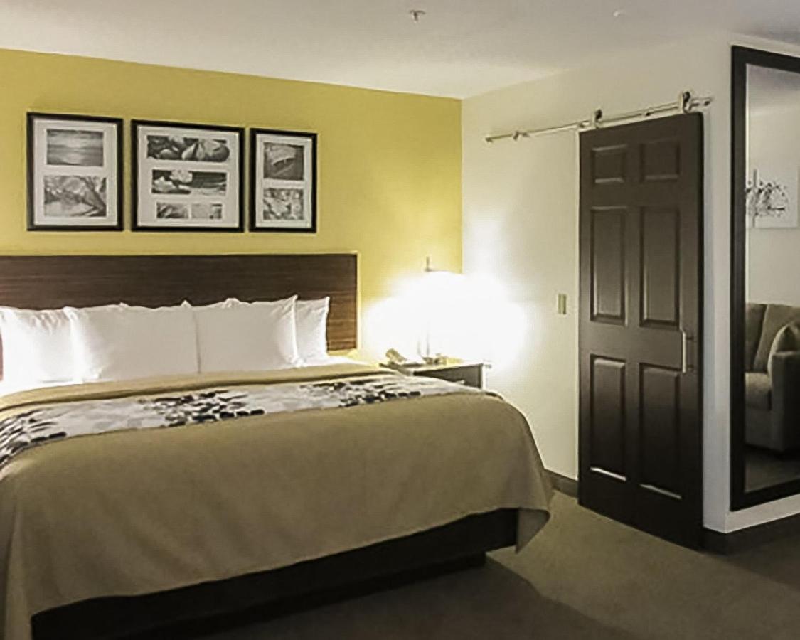 Queen Suite with Sofa Bed at Sleep Inn & Suites Pittsburgh Airport
