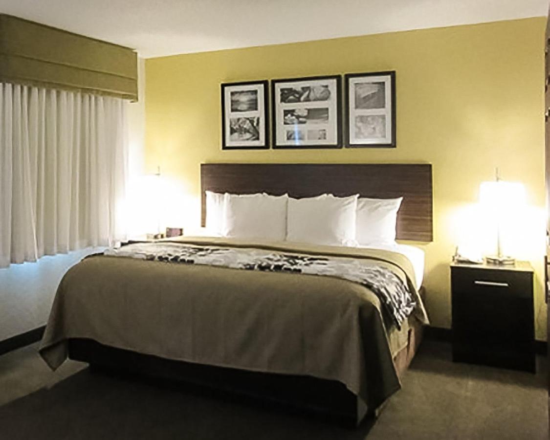 Queen Suite with Sofa Bed at Sleep Inn & Suites Pittsburgh Airport