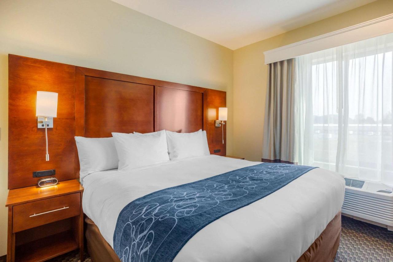 King Suite with Sofa Bed - Non-Smoking at Comfort Suites Burlington near I-5