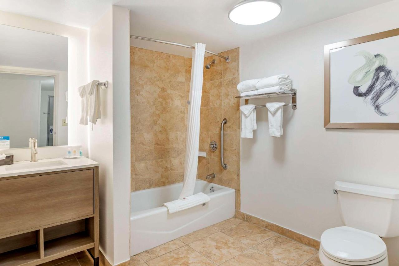 Queen Suite - Non-Smoking at Comfort Suites Valdosta Mall Area
