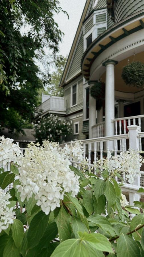  | Ginkgo Tree Inn