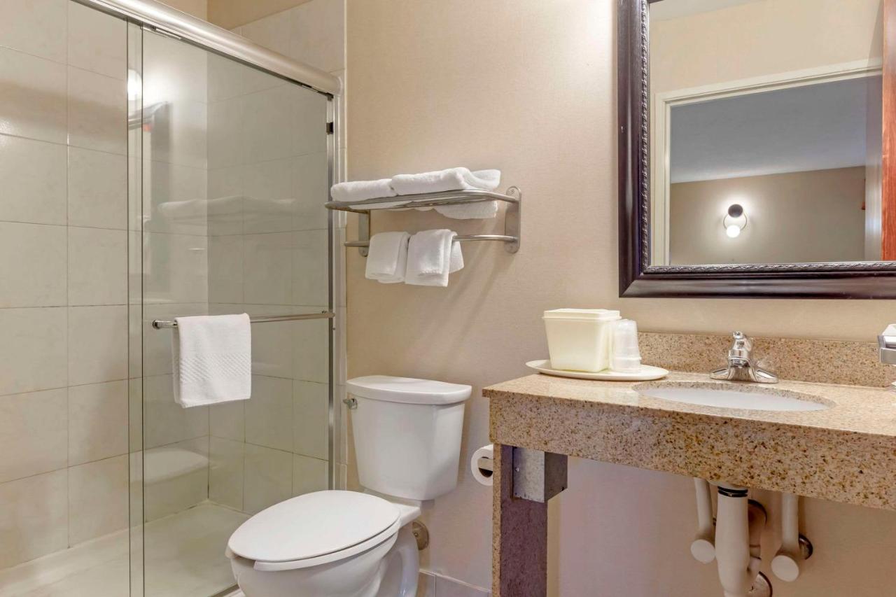 King Suite - Non-Smoking at Quality Inn Raleigh Downtown