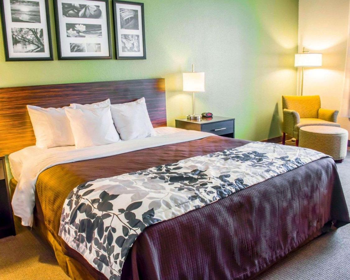 King Room - Non-Smoking at Sleep Inn & Suites Virginia Horse Center
