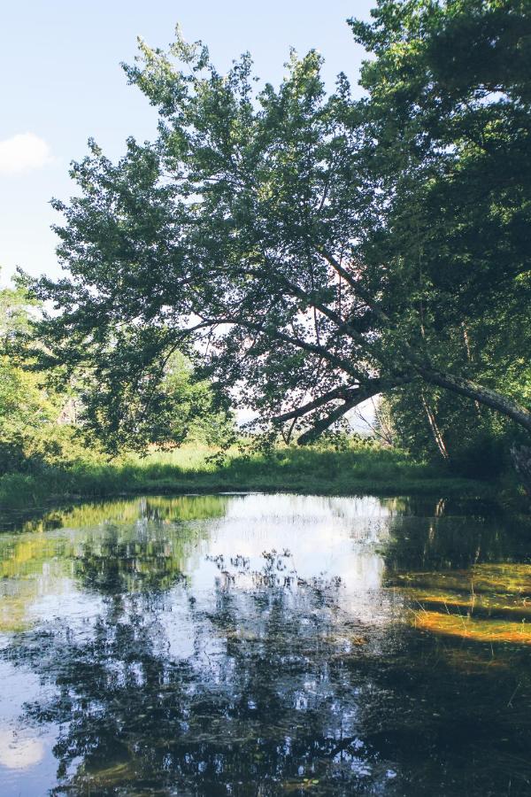 | Old Saco Inn