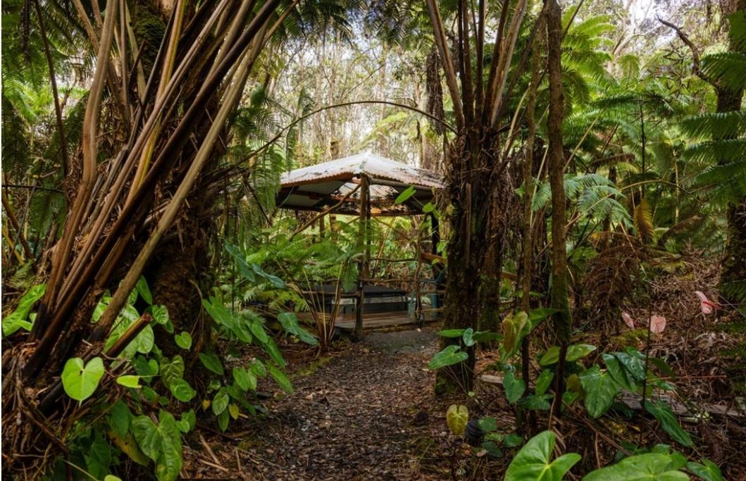  | Halema'uma'u- Hale Kumu La'au