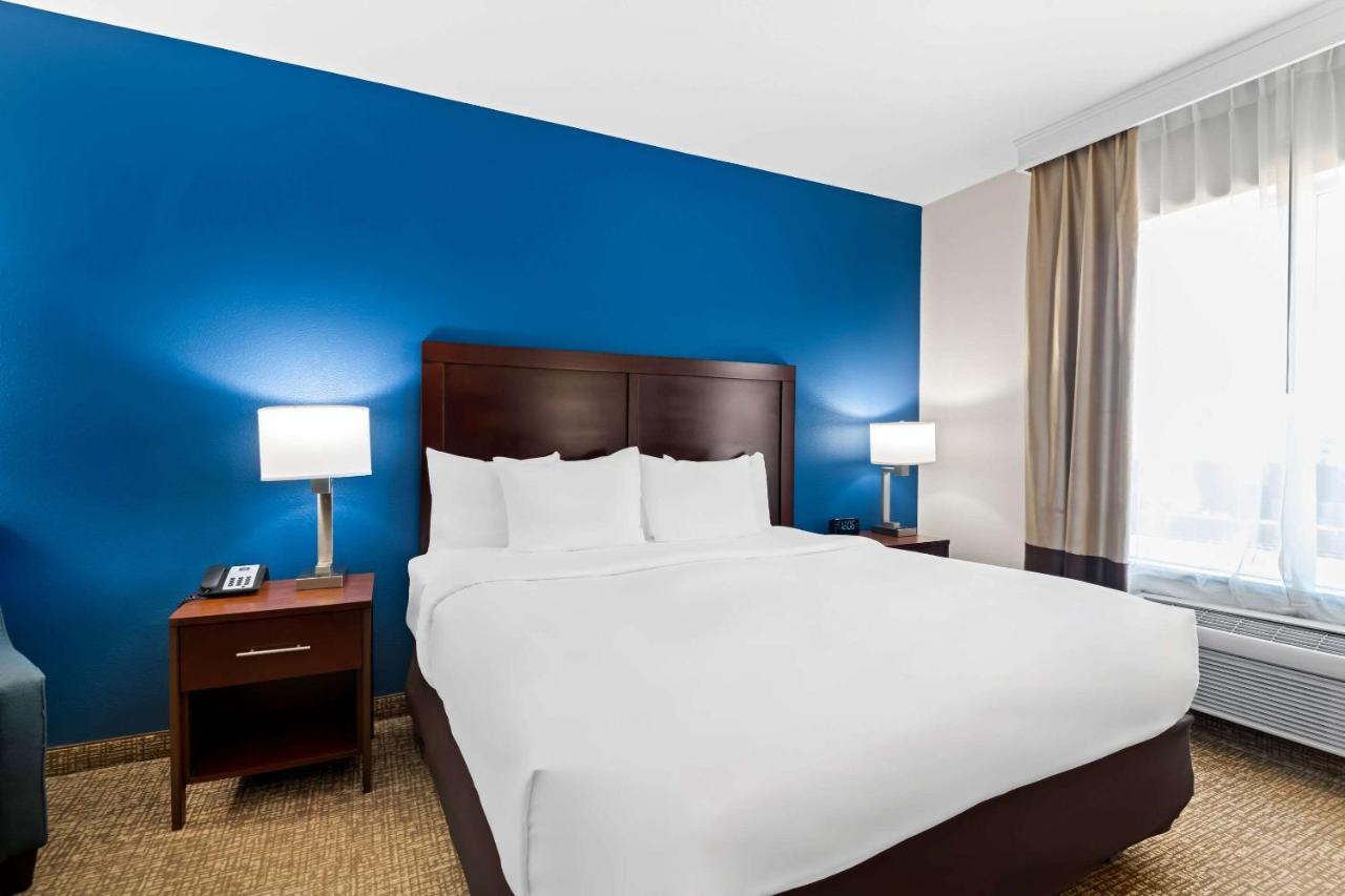  | Comfort Inn & Suites Near Lake Lewisville