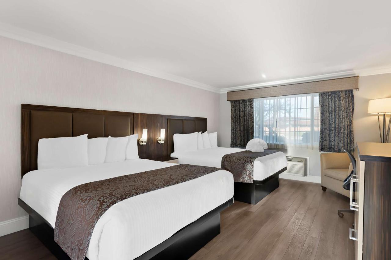 Queen Room with Two Queen Beds - Non Smoking at Best Western University Inn Santa Clara