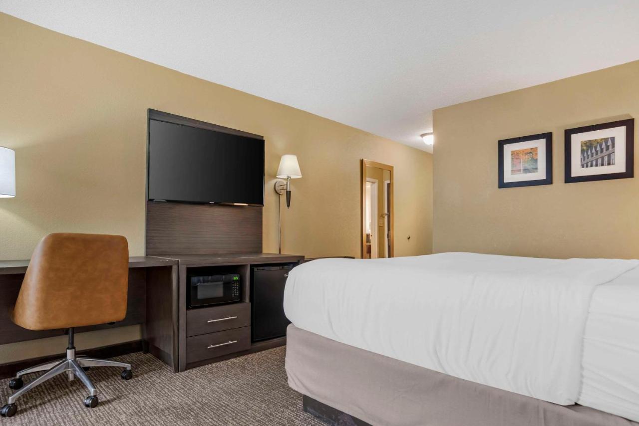 King Room - Non-Smoking at Comfort Inn Opelika - Auburn