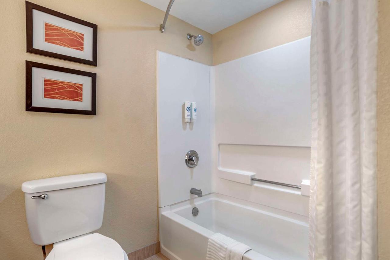 King Room - Non-Smoking at Comfort Inn Opelika - Auburn
