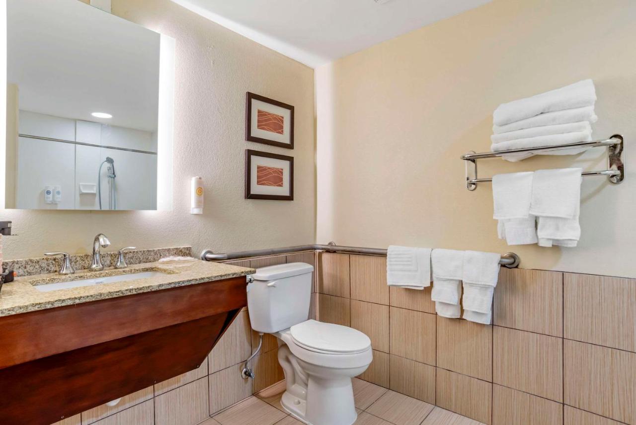 King Room - Accessible/Non-Smoking at Comfort Inn Opelika - Auburn
