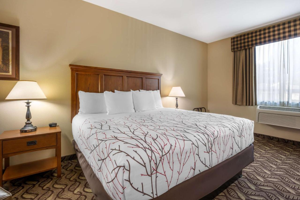King Room at Best Western Lodge At River's Edge
