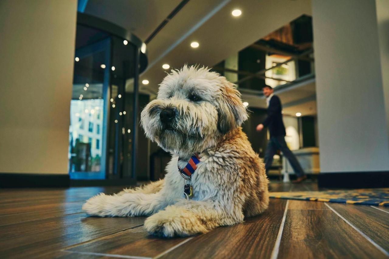 | The Draftsman, Charlottesville, University, Autograph Collection Hotel