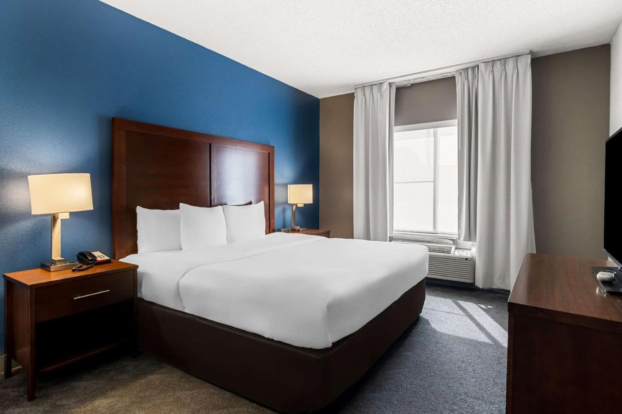 | Comfort Inn & Suites near Tinley Park Amphitheater