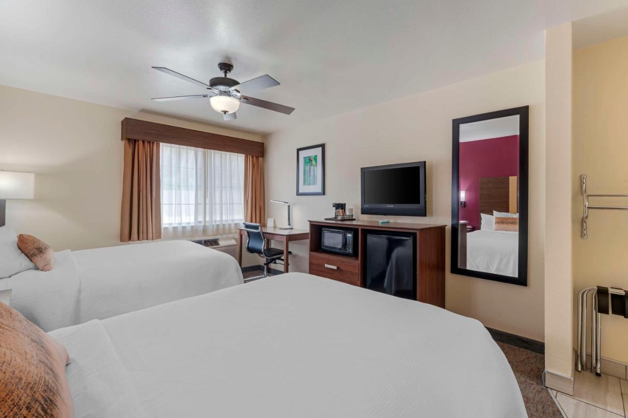 | Best Western Pineywoods Inn