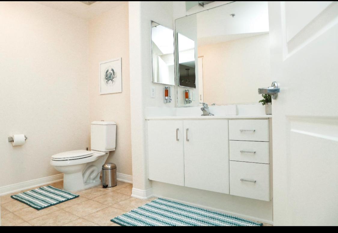  | Amazing Apartments near the grove