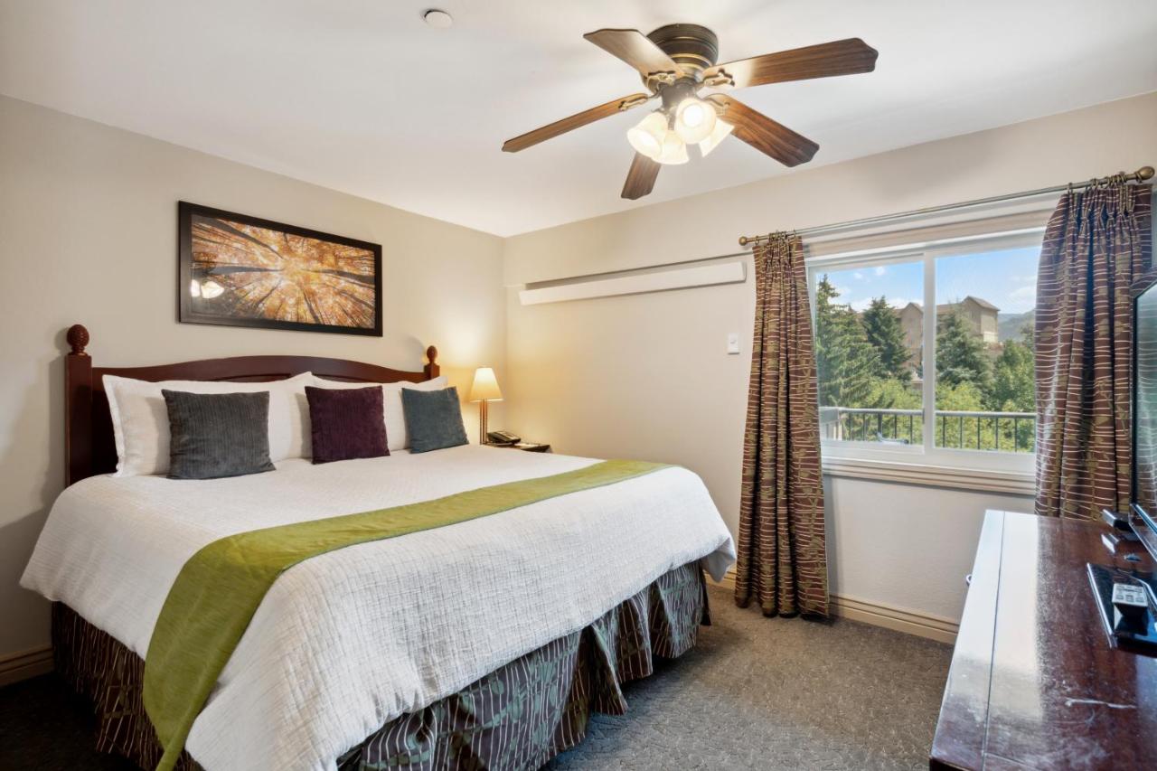 One-Bedroom Apartment at Falcon Point