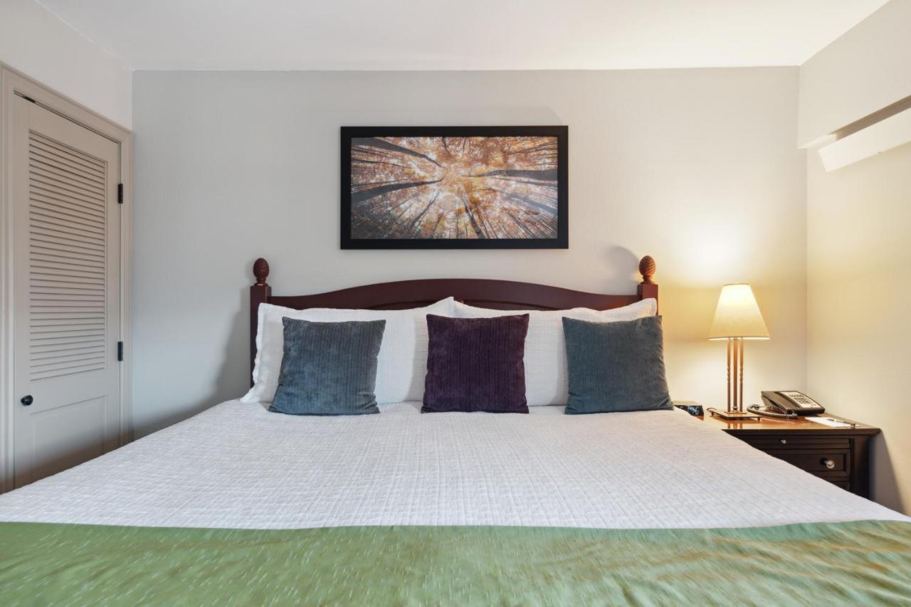 One-Bedroom Apartment at Falcon Point